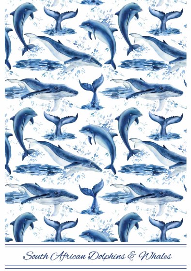 DTG dolphin and whales